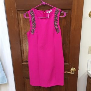 Hot pink dress nwt